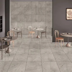 ARGENTA GRIS Polished Porcelain Floor Tile | 600×600 mm